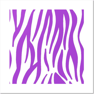 Purple Zebra Posters and Art